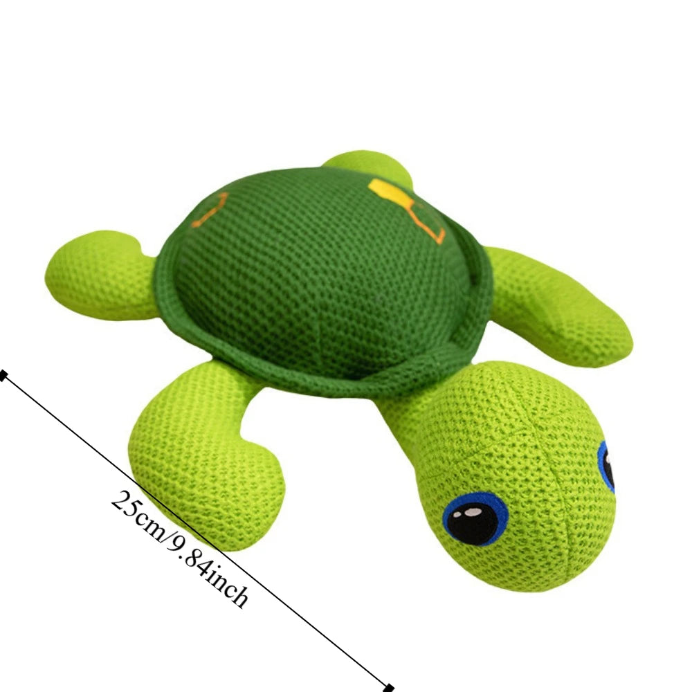 Thelma and Louse the turtles